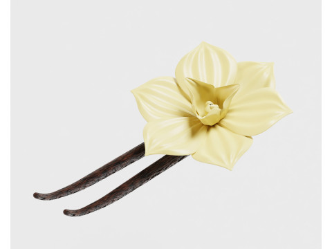 Vanilla flower 3D Model