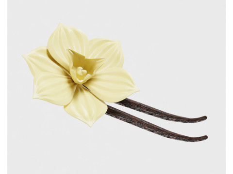 Vanilla flower 3Dモデル