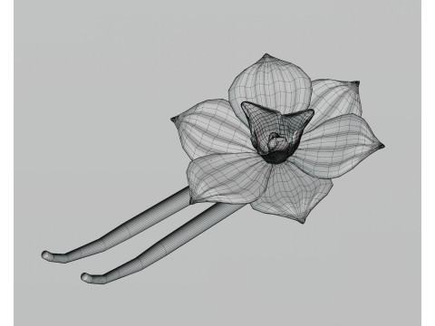 Vanilla flower 3Dモデル