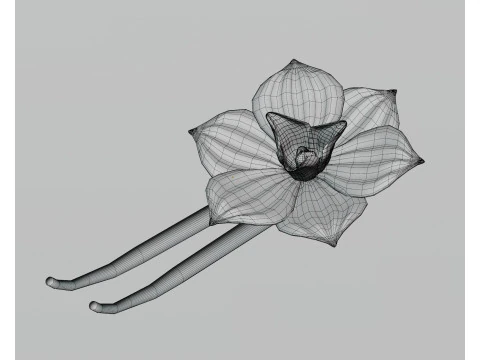 Vanilla flower 3D Model