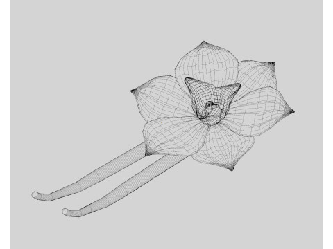 Vanilla flower 3Dモデル