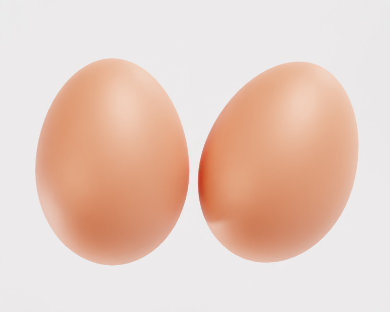 Egg 3Dモデル .c4d .max .obj .3ds .fbx .stl .blend 