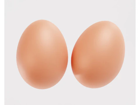 Egg 3D Model