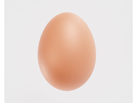 Egg 3Dモデル