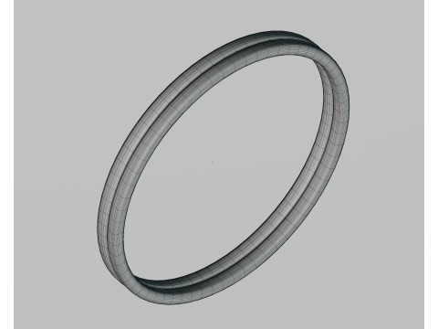 Ring 3D Model