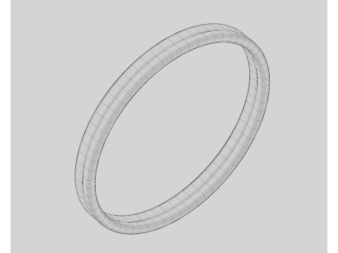 Ring 3D Model