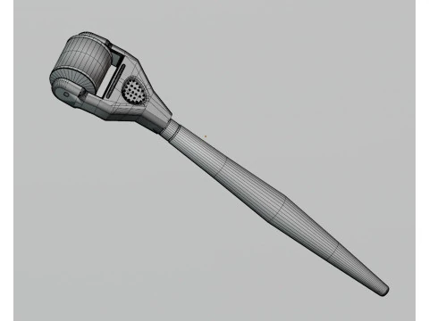 Derma Roller Model 3D