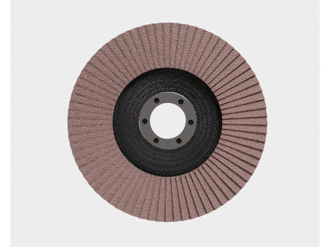 F&auml;cherscheibe 3D Modell