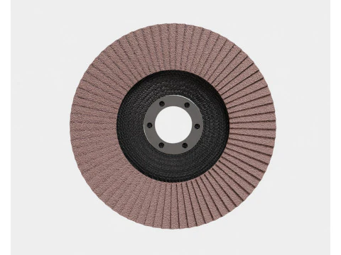 Disque &agrave; lamelles Modèle 3D