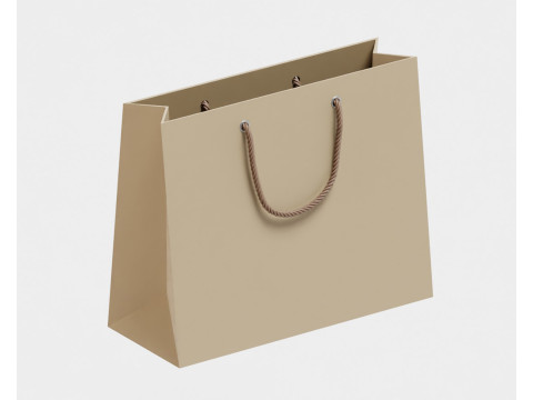 Boodschappentas 3D Model