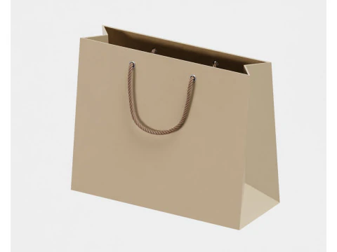 Shopping bag 3D Model