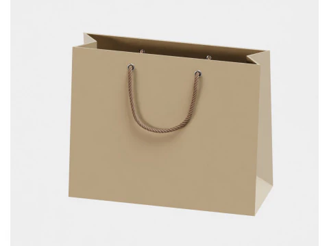Shopping bag 3D Model
