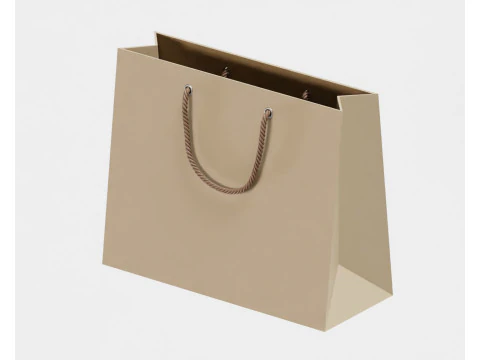 Shopping bag 3D Model