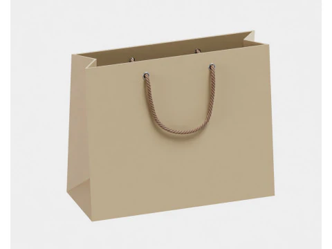 Shopping bag 3D Model