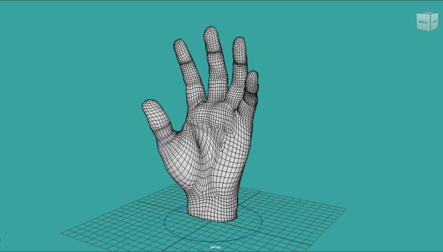 Realistic hand rigg 3D Model .c4d .max .obj .3ds .fbx .stl .blend 