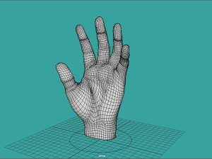 Realistic hand rigg 3D Model