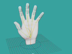 Realistic hand rigg 3D Model