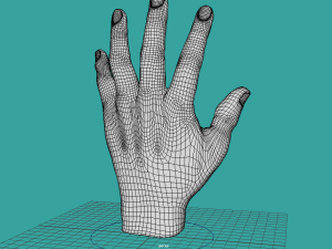 Realistic hand rigg 3D Model