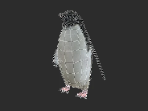 Adelie Penguin Low Poly animado Modelo 3D