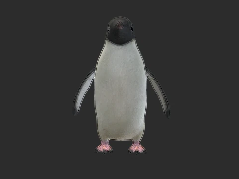 Adelie Penguin Low Poly animado Modelo 3D