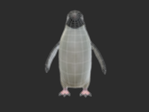 Adelie Penguin Low Poly Animated Modello 3D