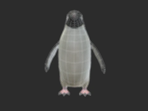 Adelie Penguin Low Poly animado Modelo 3D
