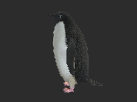 Adelie Penguin Low Poly animado Modelo 3D