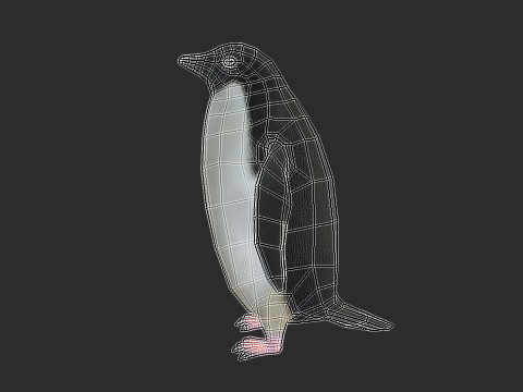 Adelie Penguin Low Poly Animated Modello 3D