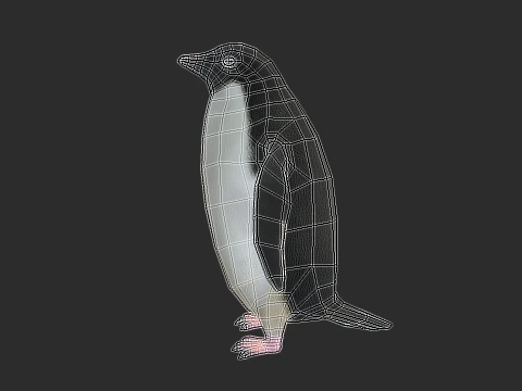 Adelie Penguin Low Poly animado Modelo 3D