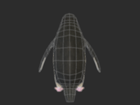 Adelie Penguin Low Poly Animated Modello 3D
