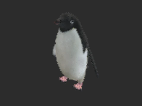Adelie Penguin Low Poly animado Modelo 3D