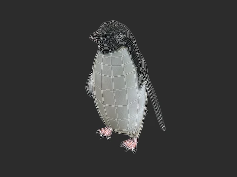 Adelie Penguin Low Poly animado Modelo 3D