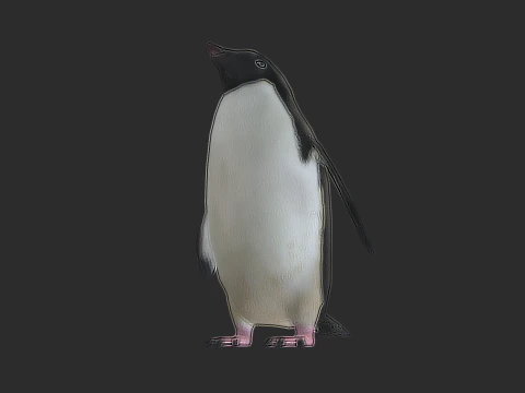Adelie Penguin Low Poly animado Modelo 3D