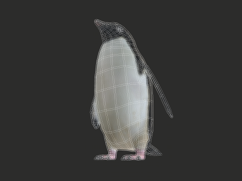 Adelie Penguin Low Poly Animated Modello 3D