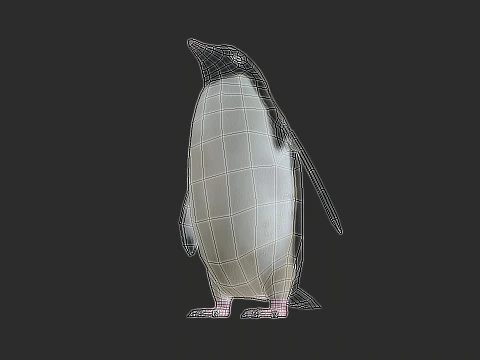 Adelie Penguin Low Poly animado Modelo 3D