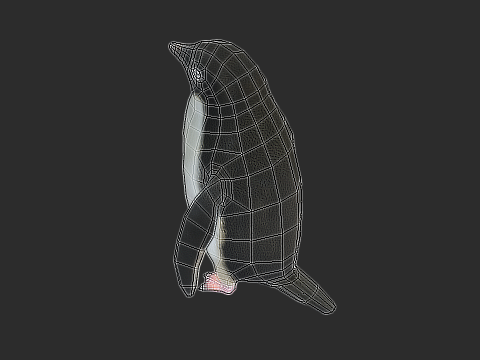 Adelie Penguin Low Poly Animated Modello 3D