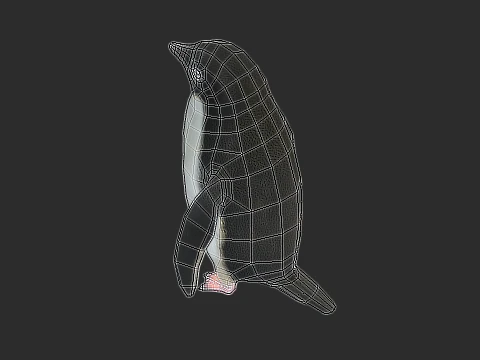 Adelie Penguin Low Poly animado Modelo 3D