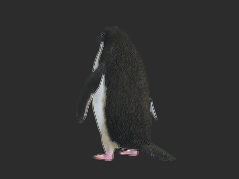 Adelie Penguin Low Poly Animated Modello 3D