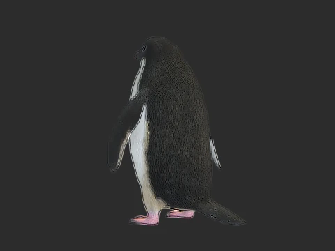 Adelie Penguin Low Poly animado Modelo 3D
