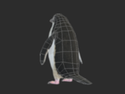 Adelie Penguin Low Poly Animated Modello 3D