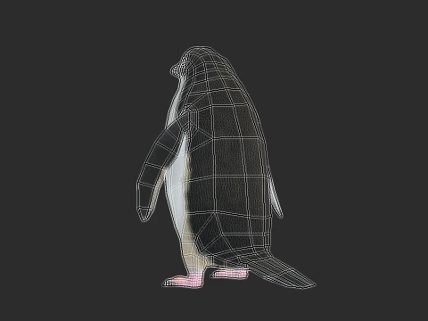 Adelie Penguin Low Poly animado Modelo 3D