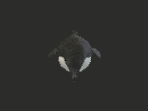 Adelie Penguin Low Poly Animated Modello 3D