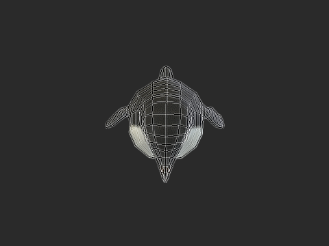 Adelie Penguin Low Poly Animated Modello 3D