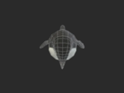 Adelie Penguin Low Poly animado Modelo 3D