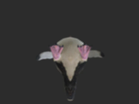 Adelie Penguin Low Poly animado Modelo 3D