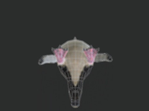 Adelie Penguin Low Poly Animated Modello 3D