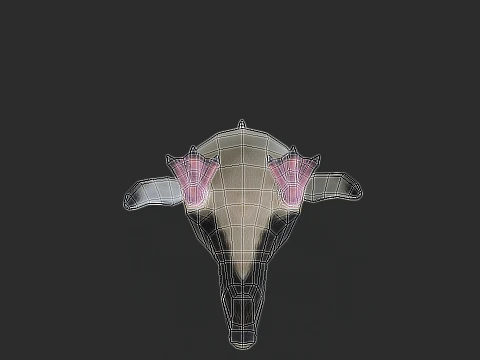 Adelie Penguin Low Poly animado Modelo 3D