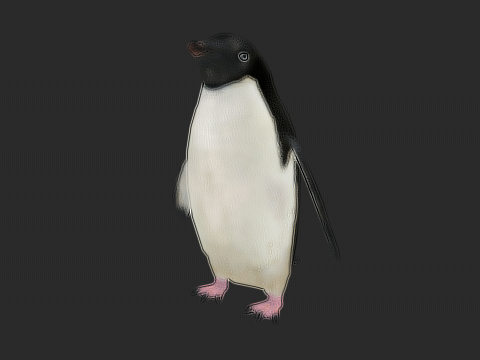 Adelie Penguin Low Poly Animated Modello 3D