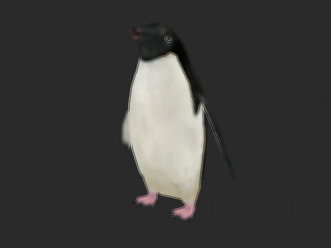 Adelie Penguin Low Poly animado Modelo 3D