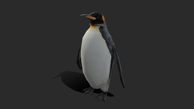 King Penguin Low Poly Animated 3D Модель .c4d .max .obj .3ds .fbx .stl .blend 